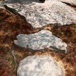 pathways 2